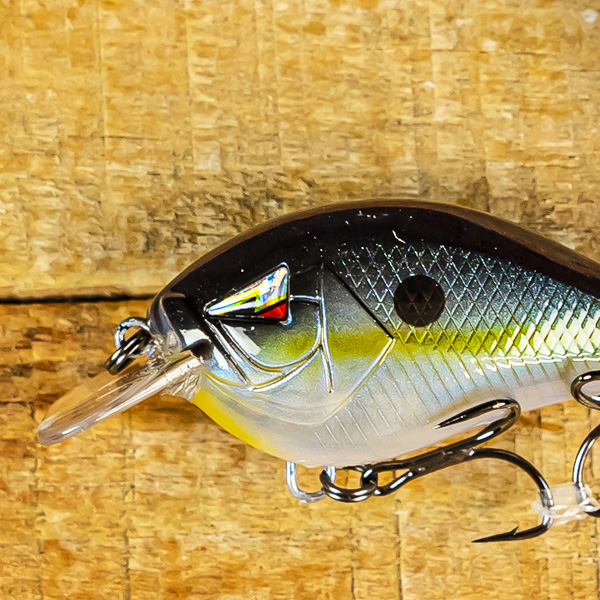 Building a Fishing Website with Content&nbsp;Marketing