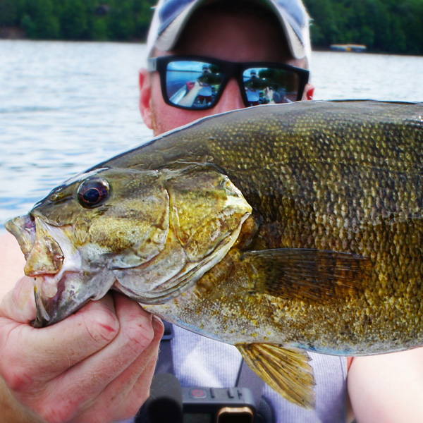 Building Organic Website Traffic with Content&nbsp;Marketing