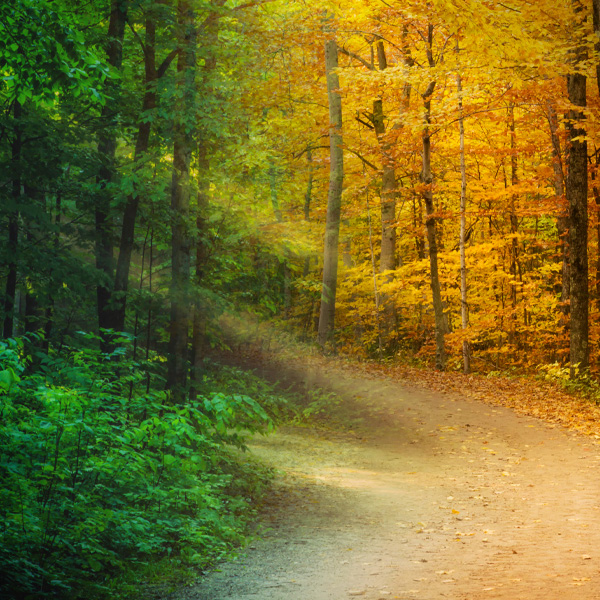 Create Consistently to Boost Website&nbsp;Traffic