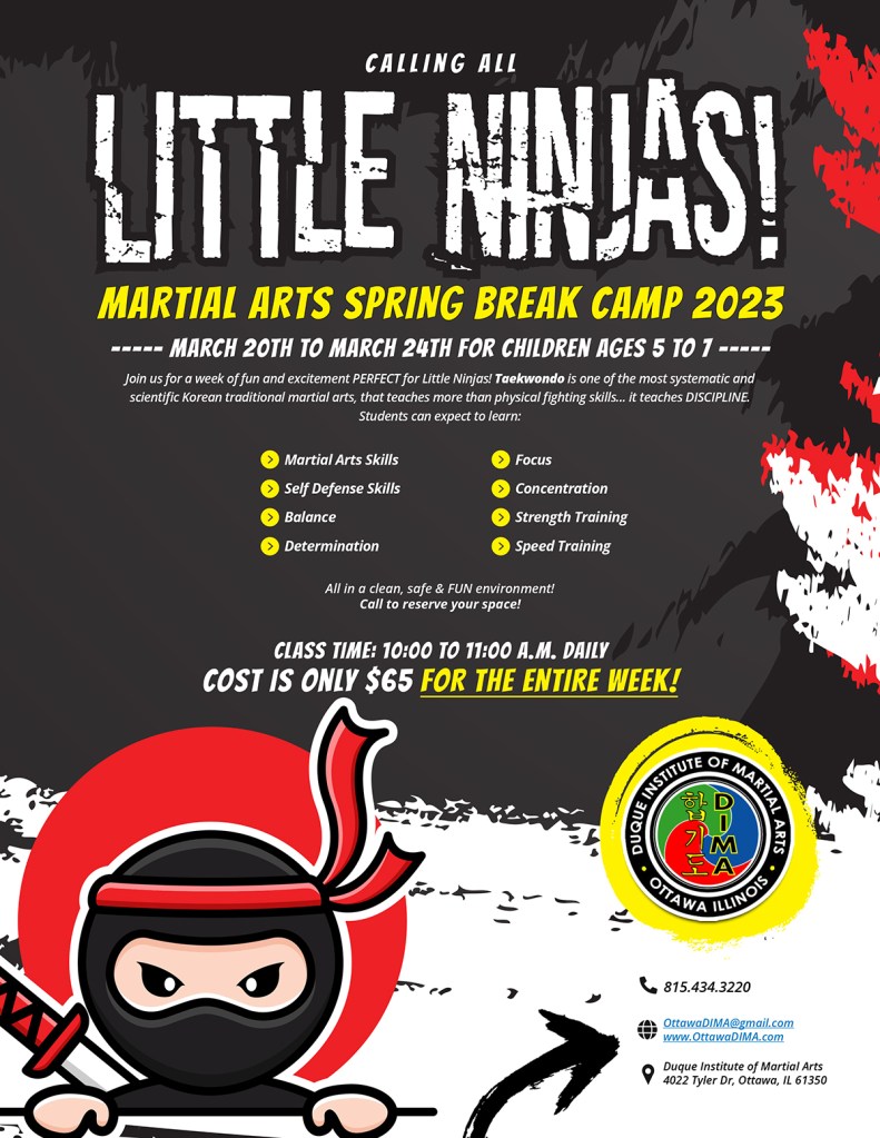 Effective Martial Arts Flyer Design