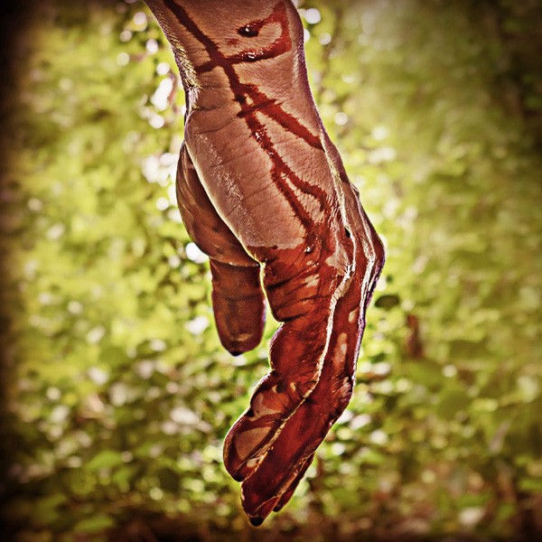 Tell Stories to Increase Website Traffic &&nbsp;Engagement