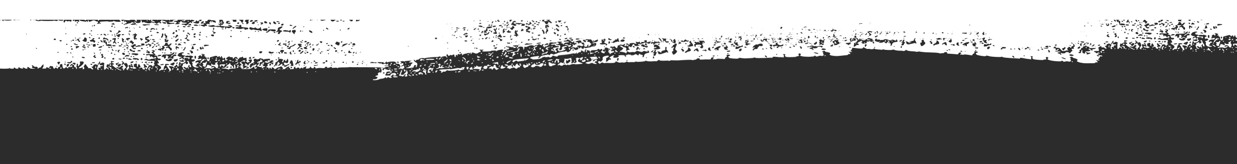 White to Gray Section Separator