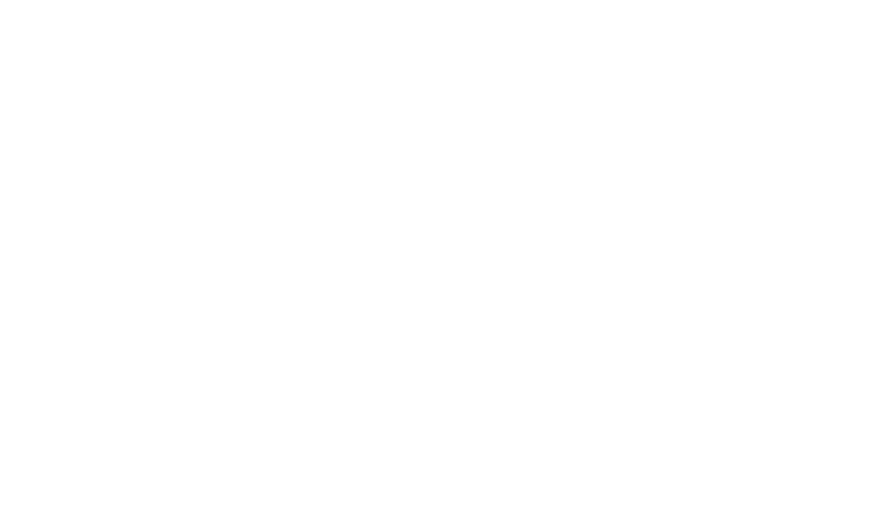 Virgin Mobile Logo